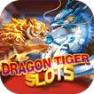 Dragon Vs tiger slot 1