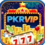 PKRVIP Game apk