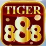 Tiger888 Game APK