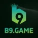 B9 Game
