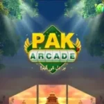 pak arcade game