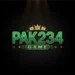 pak234 game