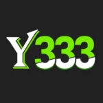Y333 Game
